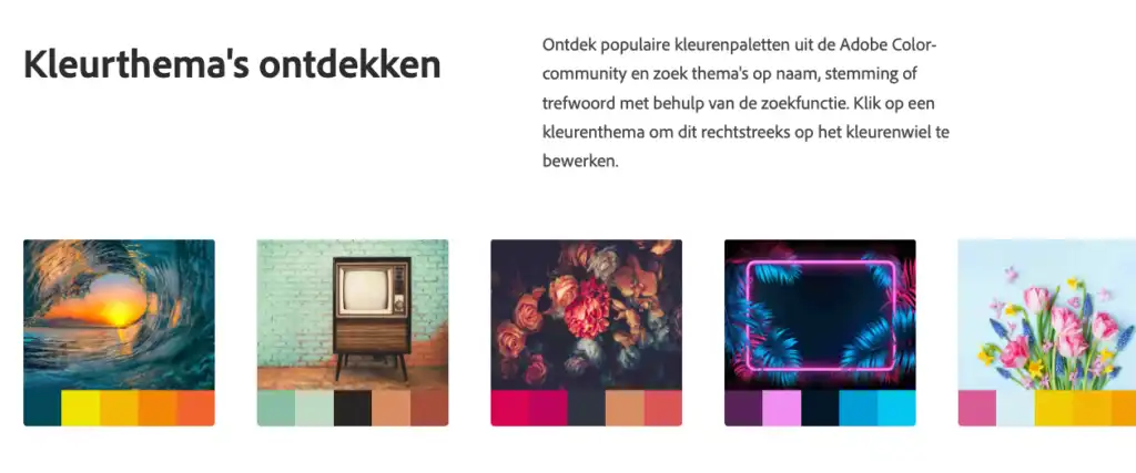 Ontwikkel het juiste kleurenpalet met Adobe Color